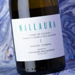 Rafael Cambra Mallaura Blanco 2025 Rafael Cambra Mallaura Blanco 2025