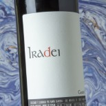 Iradei 2024 Iradei 2024