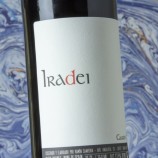 Iradei 2024