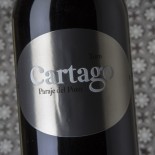 San Román Cartago Paraje Del Pozo 2018