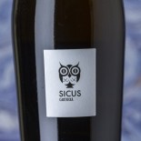 Sicus Cartoixà 2021