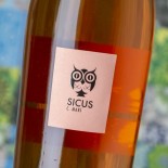 Sicus Cartoixà Marí 2021