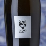 Sicus Cartoixà 2021 Sicus Cartoixà 2021