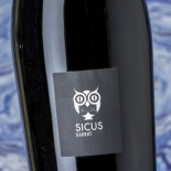 Sicus Garrut 2019