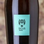 Sicus Malvasía 2021 Sicus Malvasía 2021