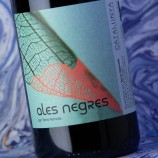Terra Remota Ales Negres 2024
