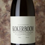 The Sadie Family Kokerboom 2024