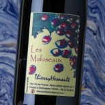 Thierry Hesnault Les Maluseaux 2020 Thierry Hesnault Les Maluseaux 2020