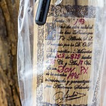 Don Px Convento Selección 1931