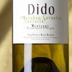 Dido Blanc 2024 Magnum Dido Blanc 2024 Magnum