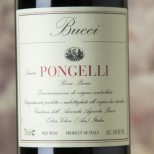 Bucci Pongelli Rosso Piceno 2021