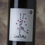 Corsai 2023 Corsai 2023