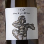Vinyologia Canor Tor 2024 Vinyologia Canor Tor 2024
