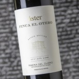 Áster Finca El Otero 2018 Áster Finca El Otero 2018