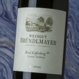 Bründlmayer Ried Kã¤ferberg Grüner Veltliner 2020